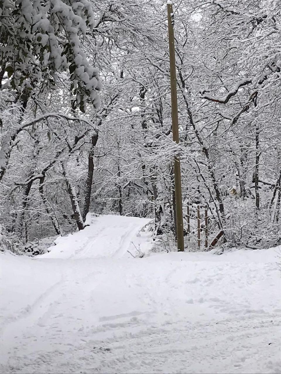 Cabanas Kalinaw Las Trancas Kültér fotó