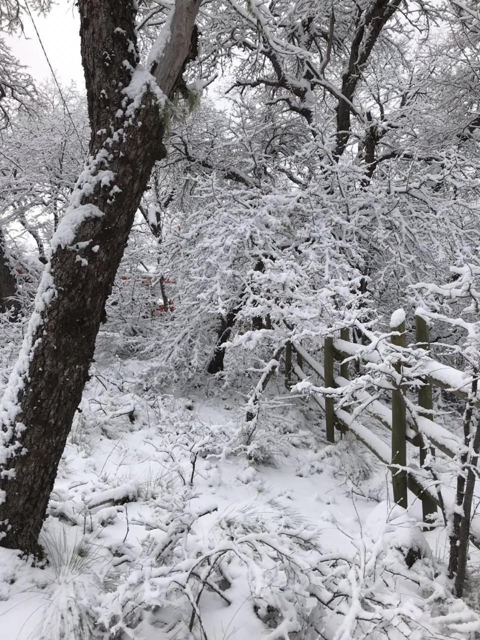 Cabanas Kalinaw Las Trancas Kültér fotó